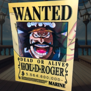 Poster 3D - Portgas D. Ace / Monkey D. Luffy / Gold D. Roger - One Piece