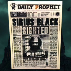 Poster 3D - "The Boy Who Lies" / "Undesirables" / "Sirius Black Sighted" - Harry Potter