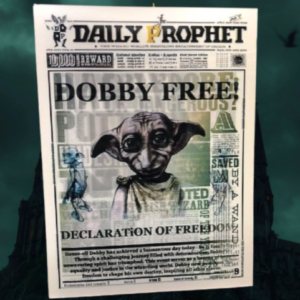 Poster 3D - "Dobby Free" / "Dumbledore, Daft or Dangerous?" / "Harry Potter Undesirable Nº1" - Harry Potter