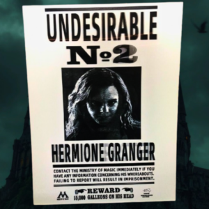 Poster 3D - "Undesirable" Ron Weasley / Hermione Granger / Harry Potter - Harry Potter